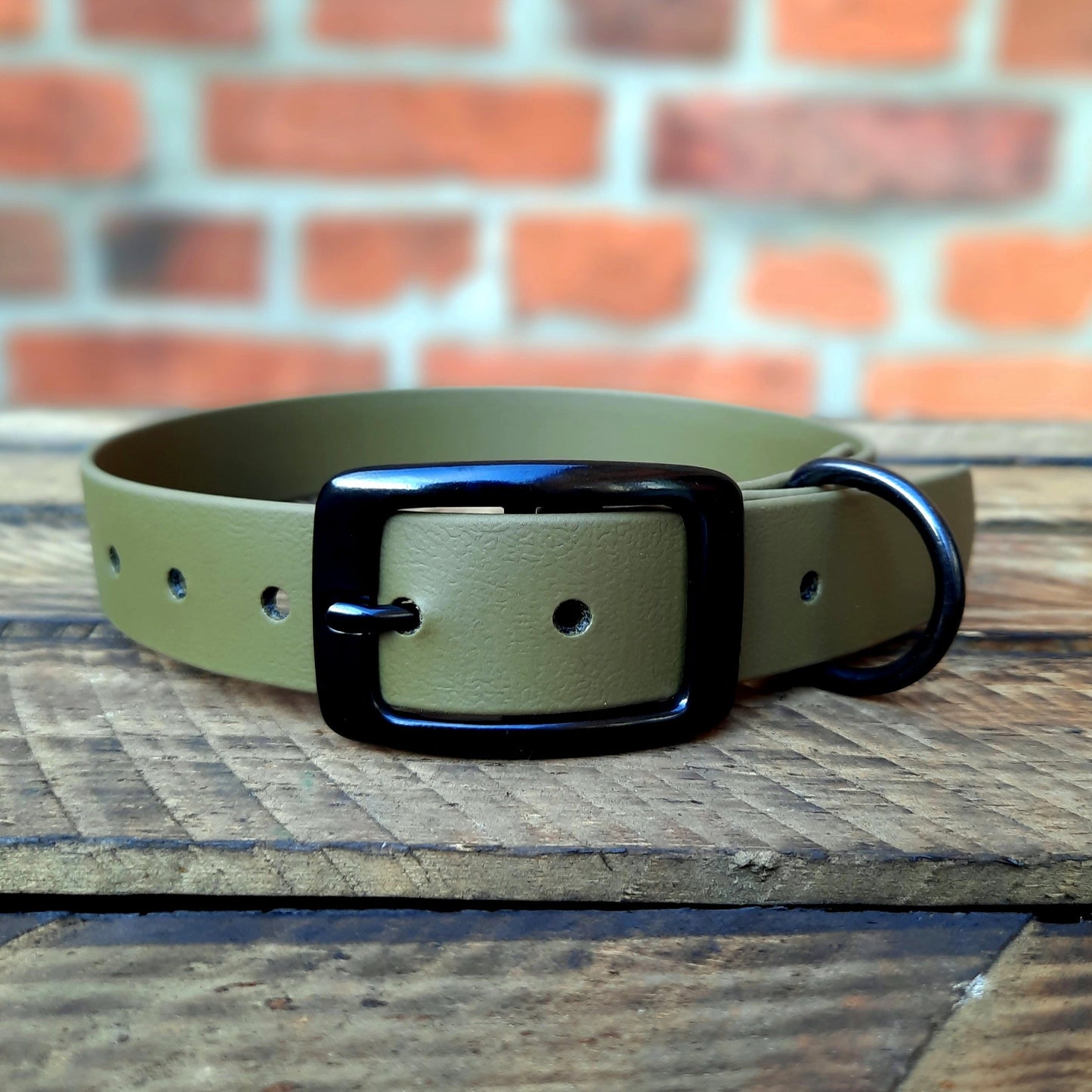 Biothane Halsband Basic