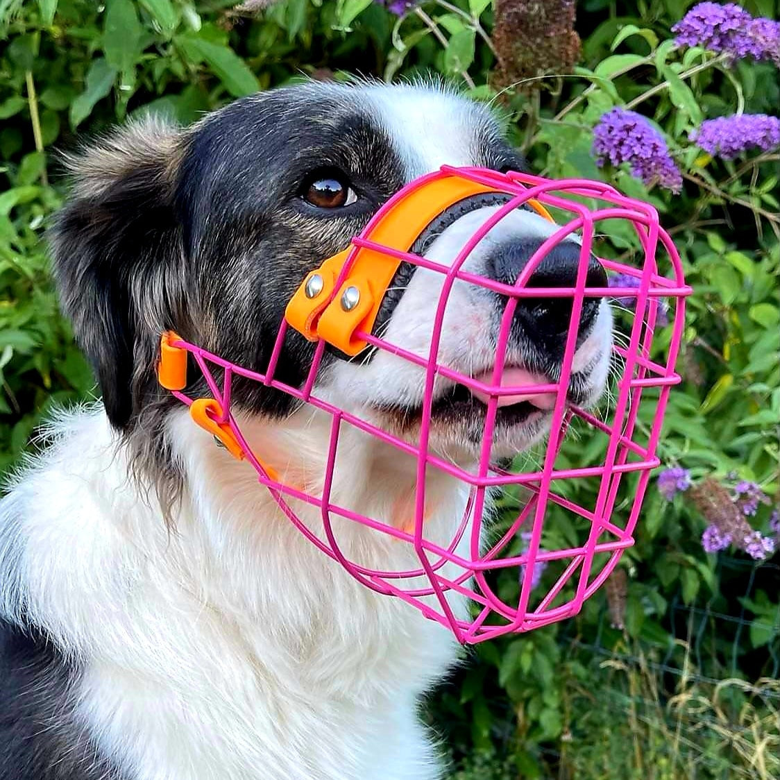 Futterluke einbauen