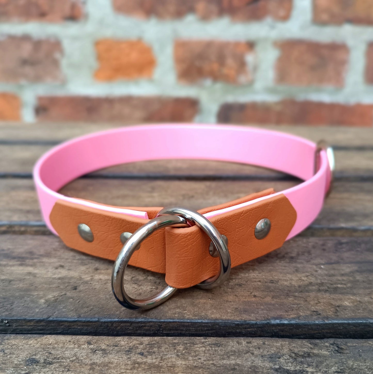 Biothane Zugstopp-Halsband Denver