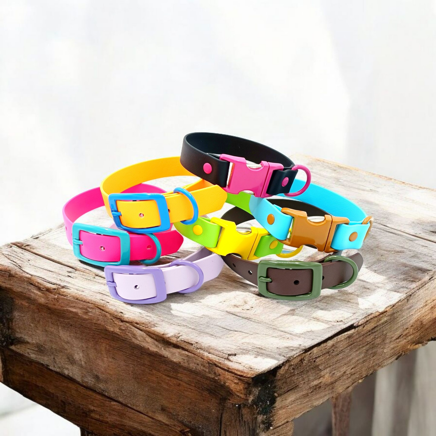 Biothane Halsband Miami