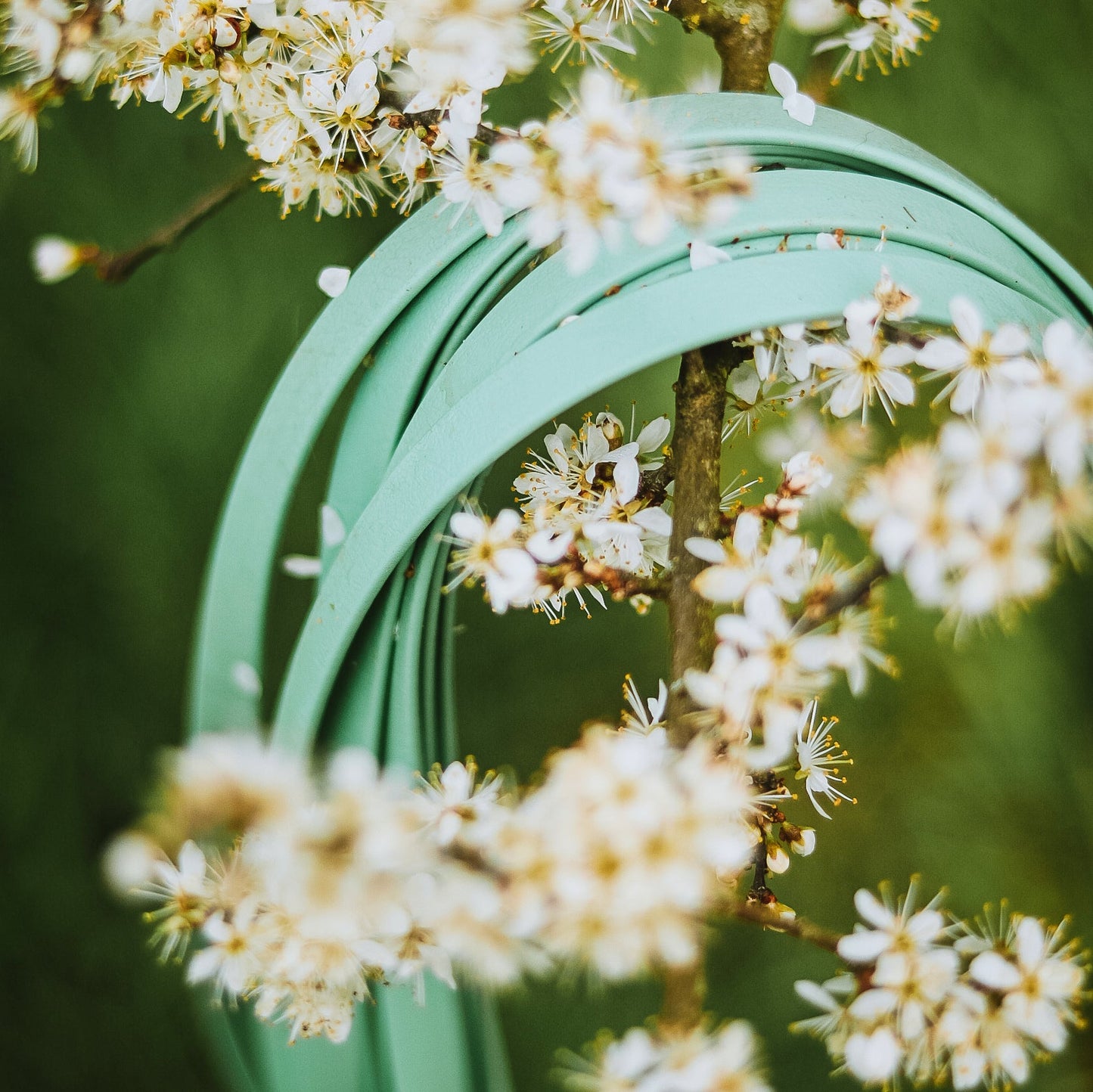 Biothane Schleppleine Field ohne Handschlaufe, versch. Längen