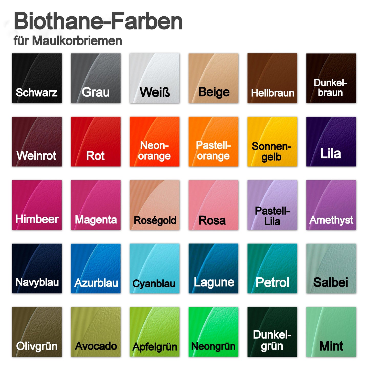 Biothane Halsband Basic