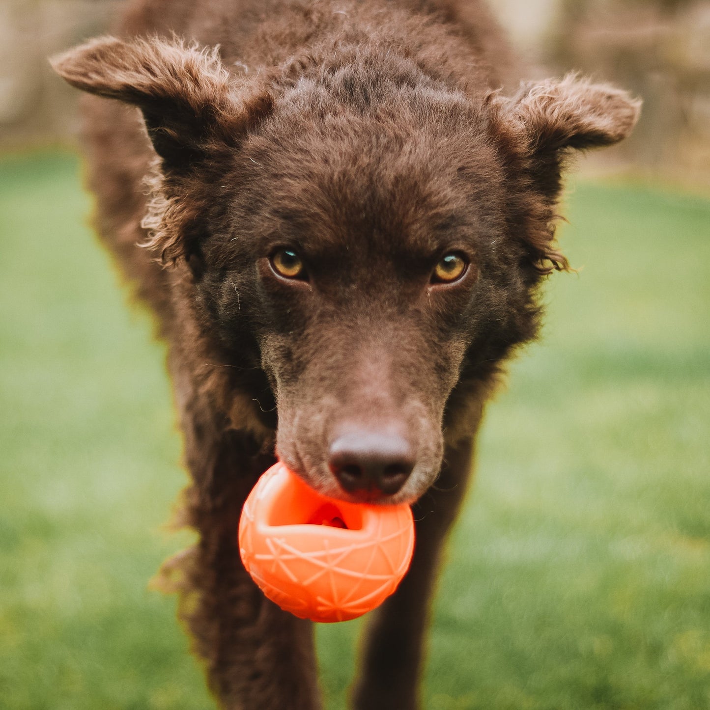 MOBY Dog Ball groß